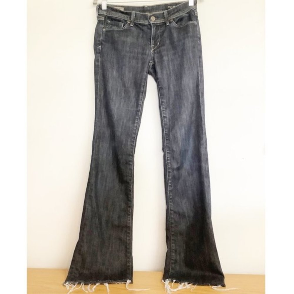 Citizens of Humanity Electric Guitar Boot …